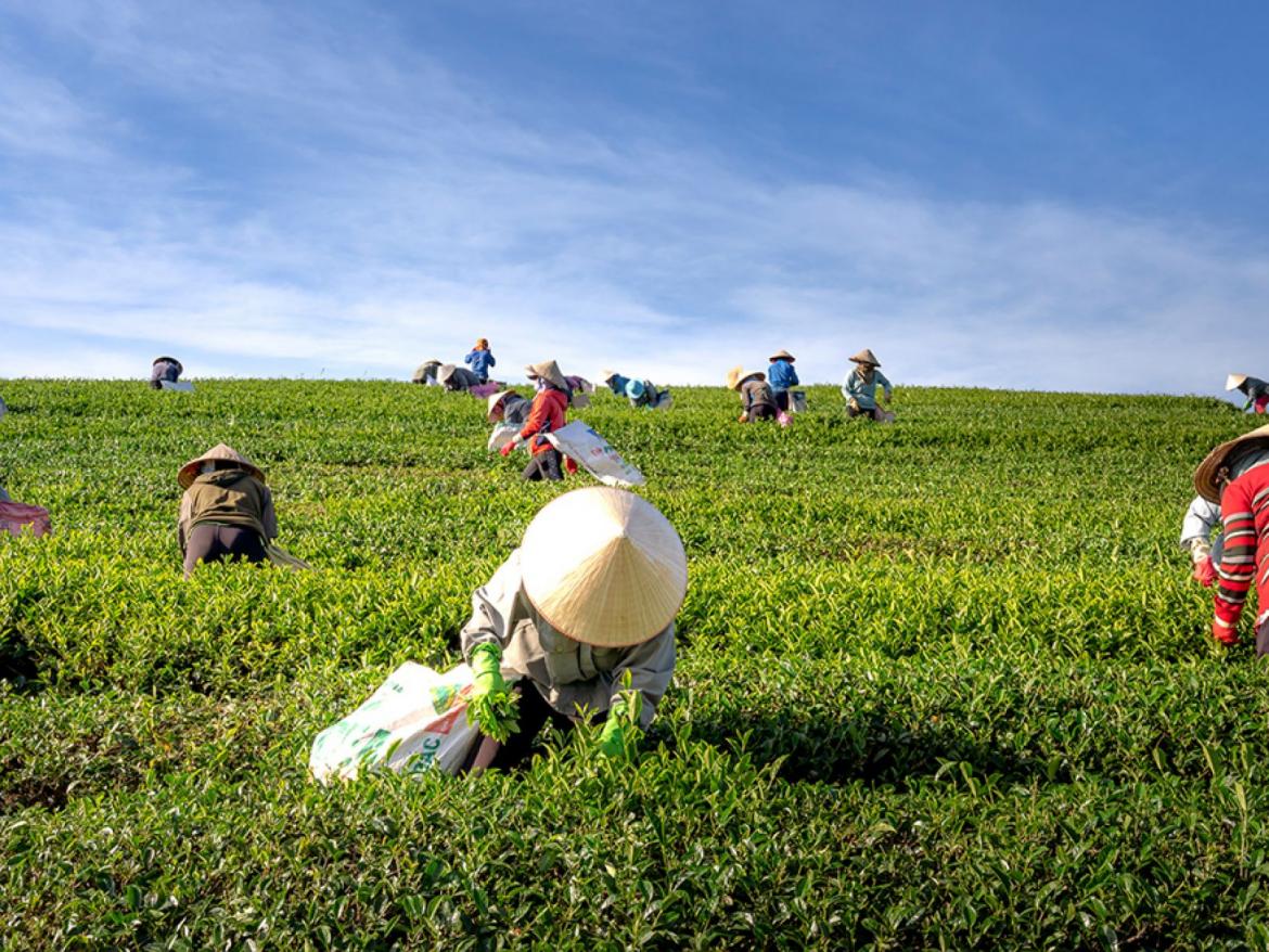 test - La p'tite Ruche Houffalize