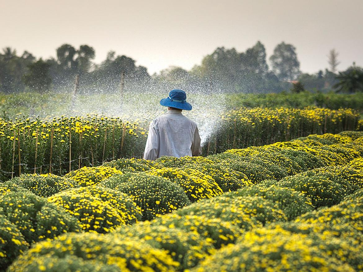 test - La p'tite Ruche Houffalize